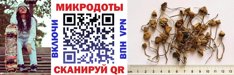 Псилоцибиновые грибы Cubensis  даркнет сайт  Чекалин 