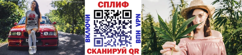 Канабис гибрид  наркота  Чекалин 